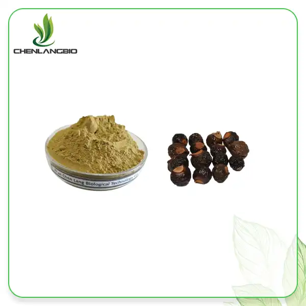 Soapnut Extract Powder Soapnut Extract Powder